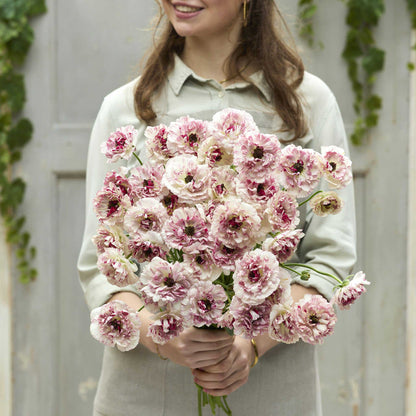 Woman holding a bouquet of pink brushmark cesar ranunculus flowers against a neutral background