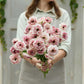 Woman holding a bouquet of pink brushmark cesar ranunculus flowers against a neutral background