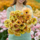 Person holding a bouquet of yellow brushmark verona ranunculus in a blurred garden setting