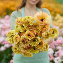 Person holding a bouquet of yellow brushmark verona ranunculus in a blurred garden setting