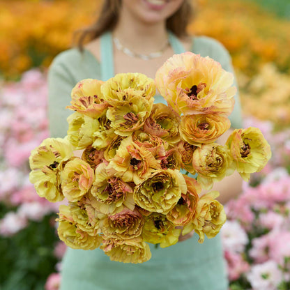 Person holding a bouquet of yellow brushmark verona ranunculus in a blurred garden setting