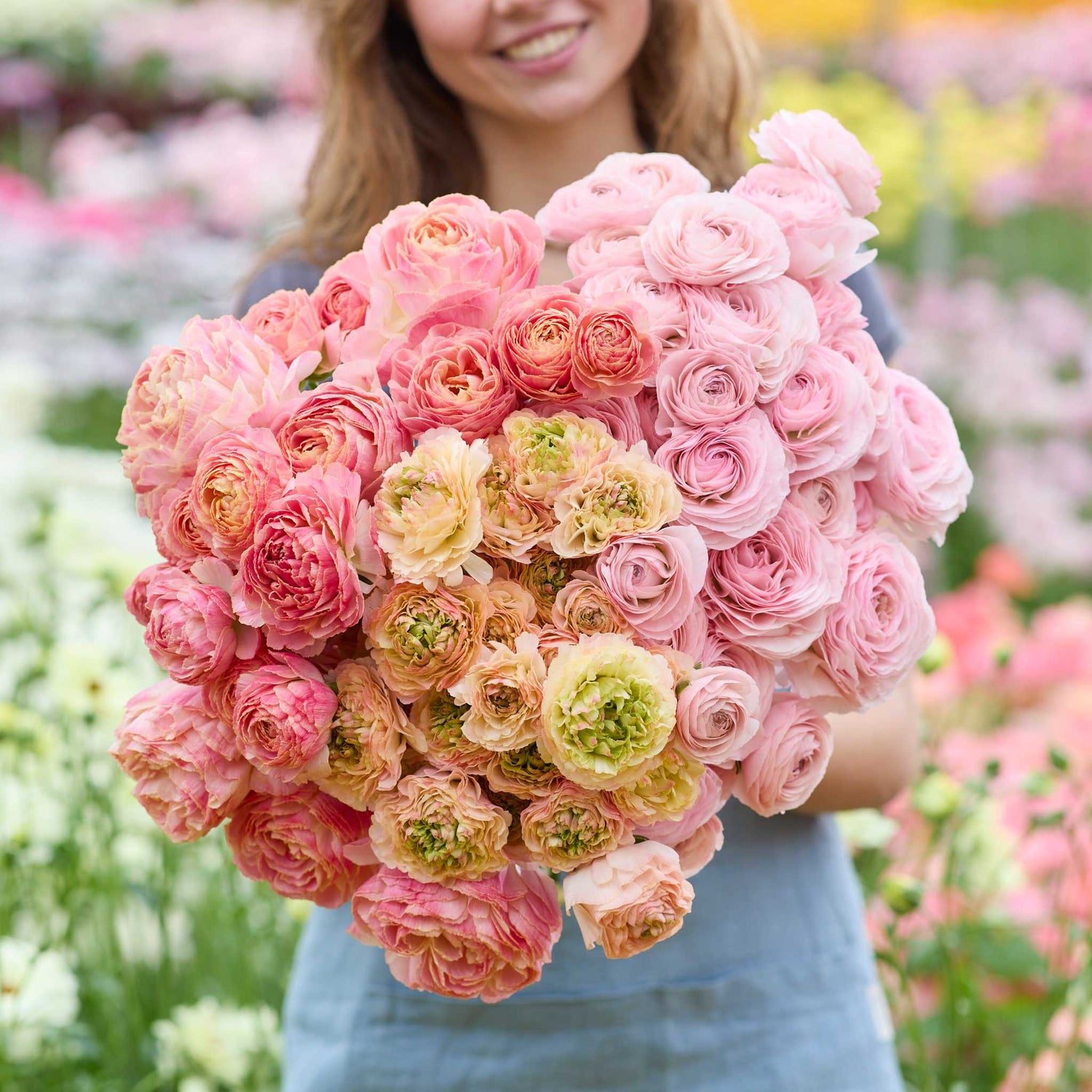 Person holding a bouquet of pink and yellow ranunculus flowers from the champagne garden bundle in a garden setting