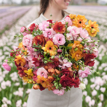 Bright multicolored ranunculus bright mix close-up on a natural garden backdrop