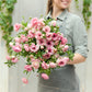 Butterfly Ranunculus Bulbs - Hera®