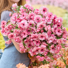 Bouquet of pink butterfly hera ranunculus flowers held by a person in a garden setting