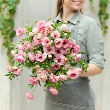 Soft pink ranunculus hera blooms held by a person on a neutral gray backdrop