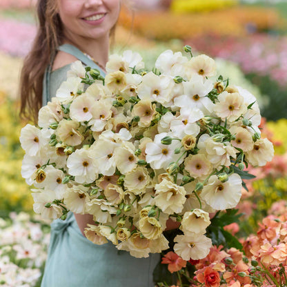 Person holding a bouquet of yellow butterfly helios ranunculus in a blurred garden setting