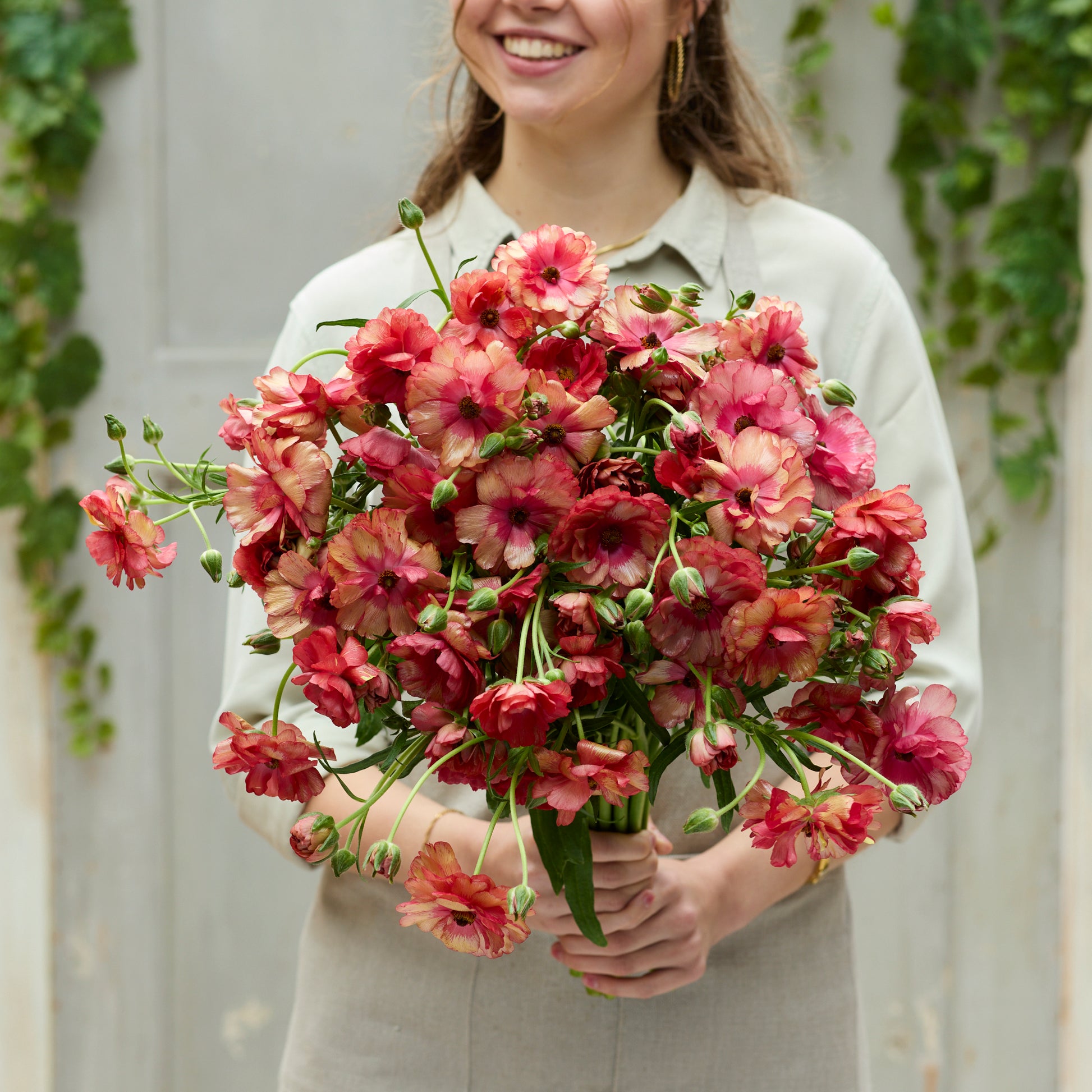 Bright pink ranunculus musa blooms held close on a neutral light background