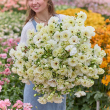 Person holding a bouquet of white butterfly ninos ranunculus flowers with a garden background