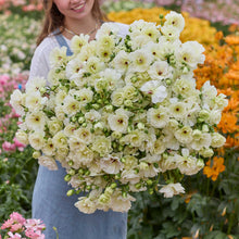 Person holding a bouquet of white butterfly ninos ranunculus flowers with a garden background