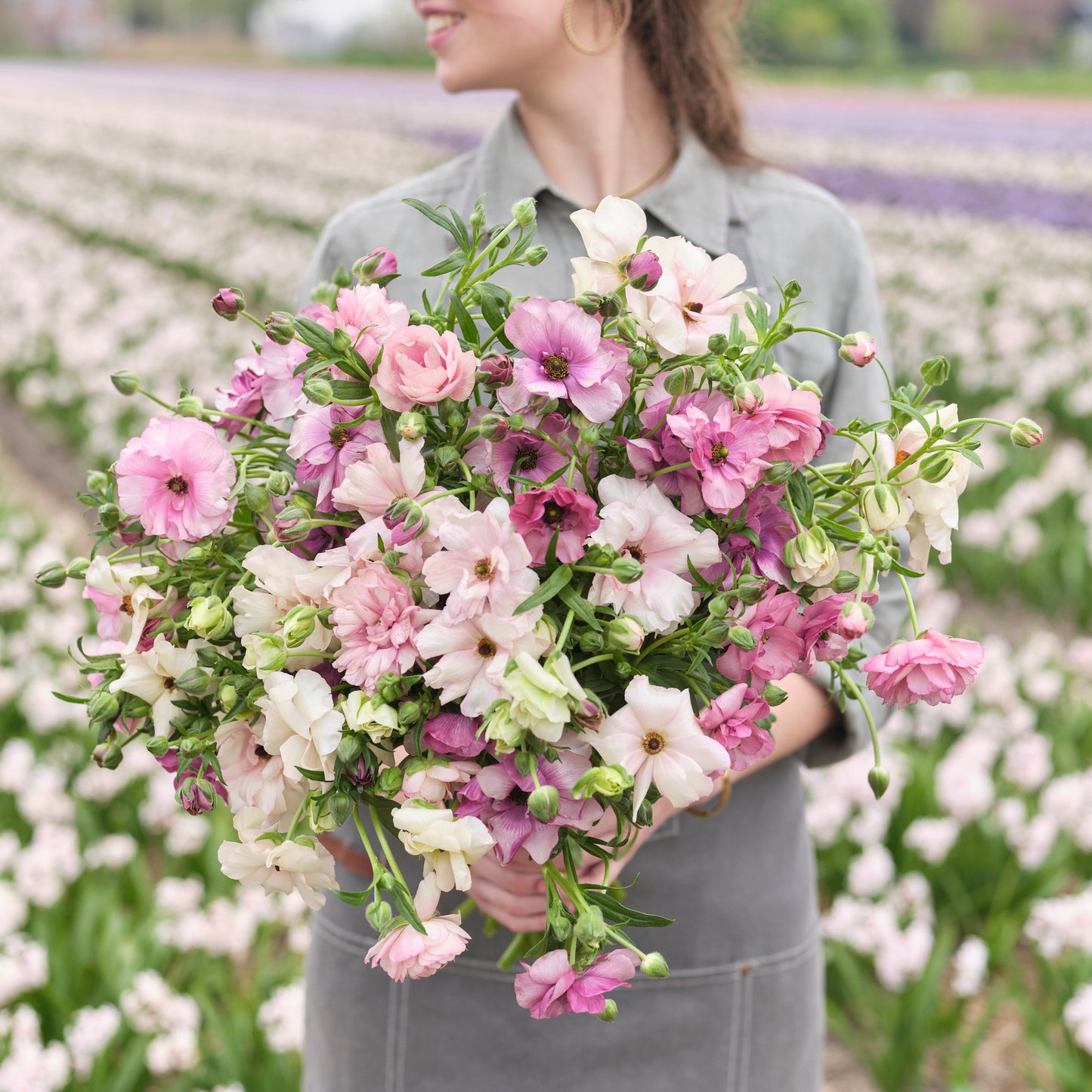 butterfly ranunculus pink pastel mix