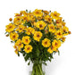 A bouquet of orange butterfly satyros ranunculus flower with a white background