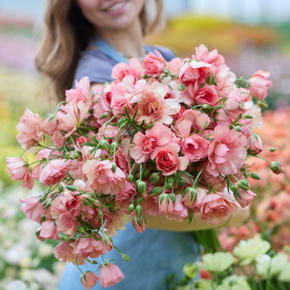 Bouquet of pink butterfly eris ranunculus flowers held by a person in a garden setting