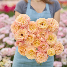 Person holding a bouquet of pink and yellow nohant ranunculus roses with a blurred floral background