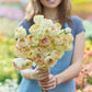 Person holding a bouquet of yellow romance hydra ranunculus flowers with a garden background