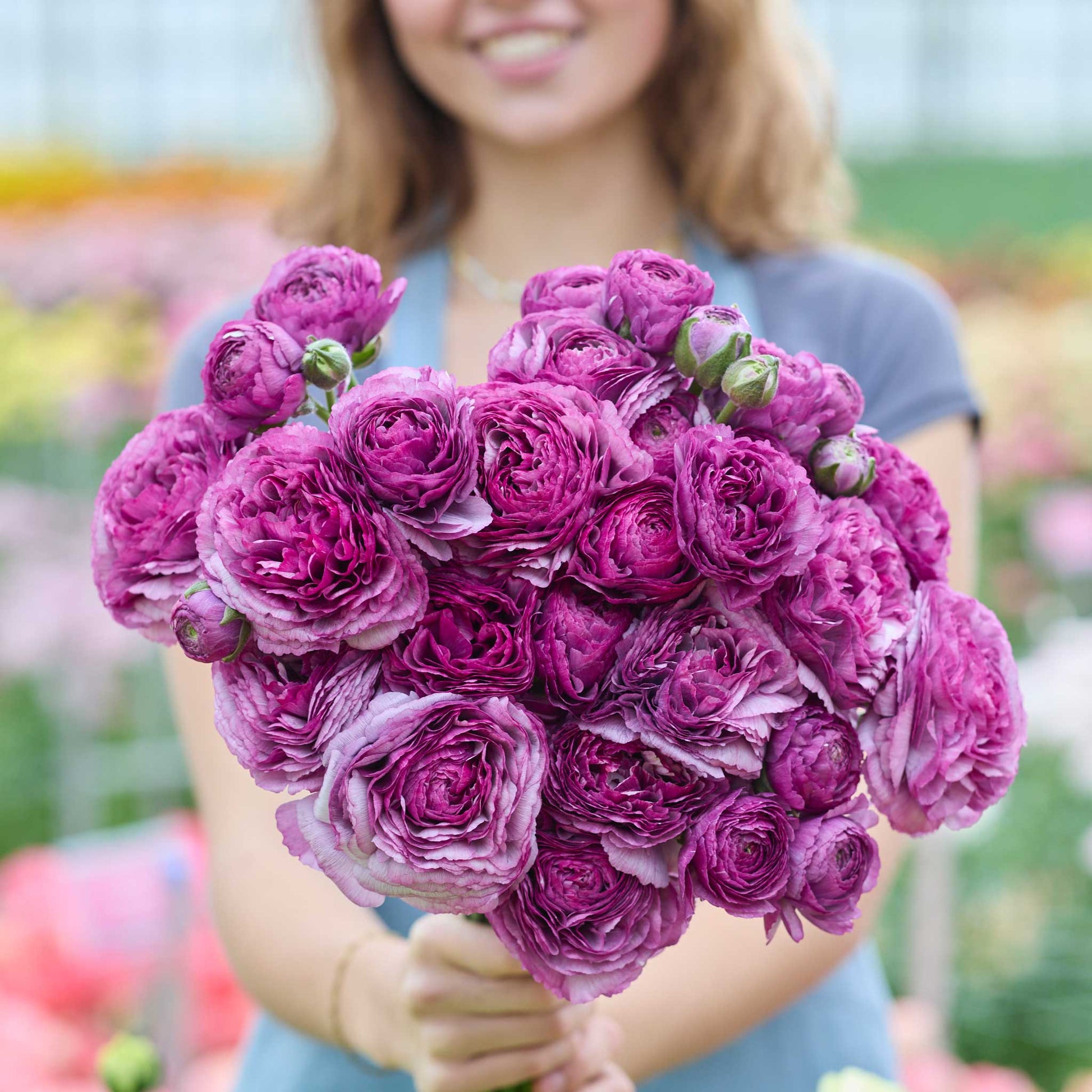 Person holding a bouquet of purple romance loubeyres ranunculus flowers with a garden background