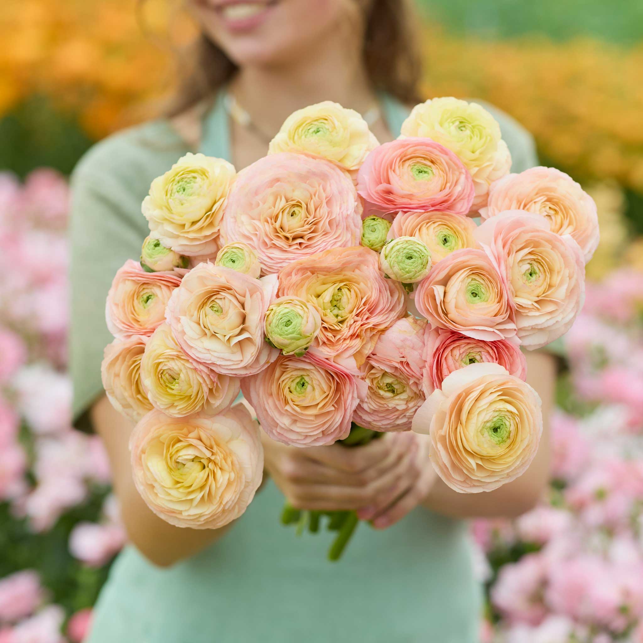 Person holding a bouquet of yellowish pink romance salerno ranunculus flowers with a garden background