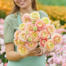 Person holding a bouquet of yellowish pink romance salerno ranunculus flowers with a garden background