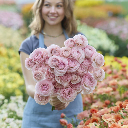 Woman holding a bouquet of pink seine ranunculus in a garden setting