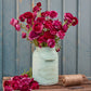 Vibrant purple ranunculus violet flowers in a pink pot on a neutral backdrop