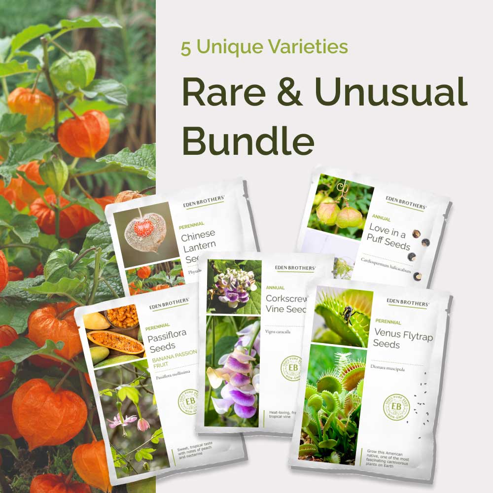 Graphic of the rare and unusual bundle pack displaying a product image and contents of the bundle.