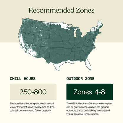 Graphic for Raspberry heritage roots showing recommended growing zones and the chill hours and outdoor zone
