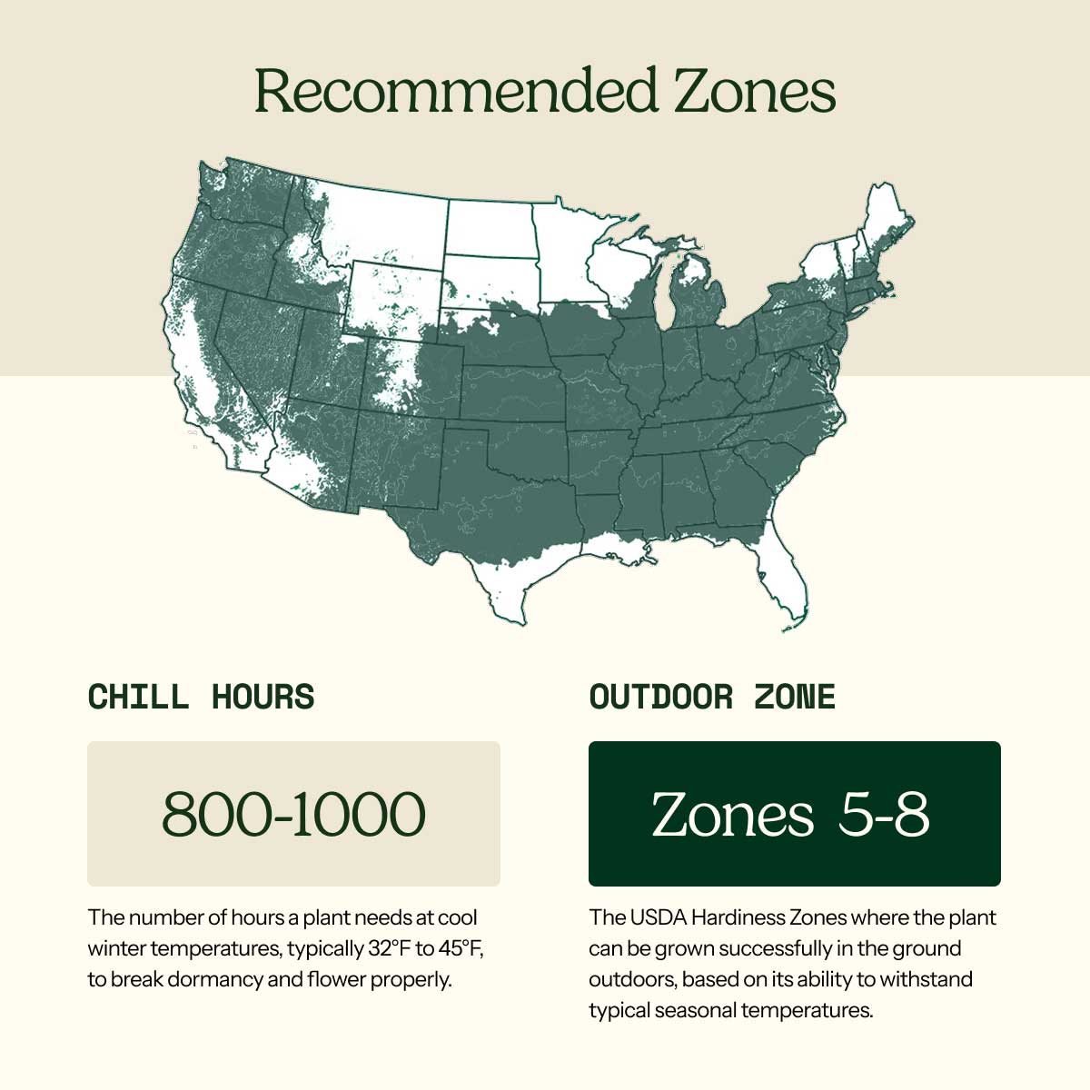 Graphic for Raspberry jewel roots showing recommended growing zones and the chill hours and outdoor zone