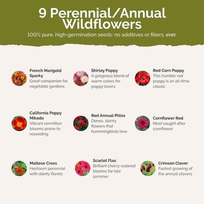 List of flower species and seeds included in the Wildflower Seed Mix.