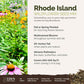 rhode island overview