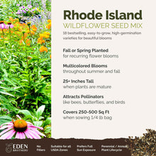 A visual overview of the wildflower seed mix, showcasing expected floral blooms.