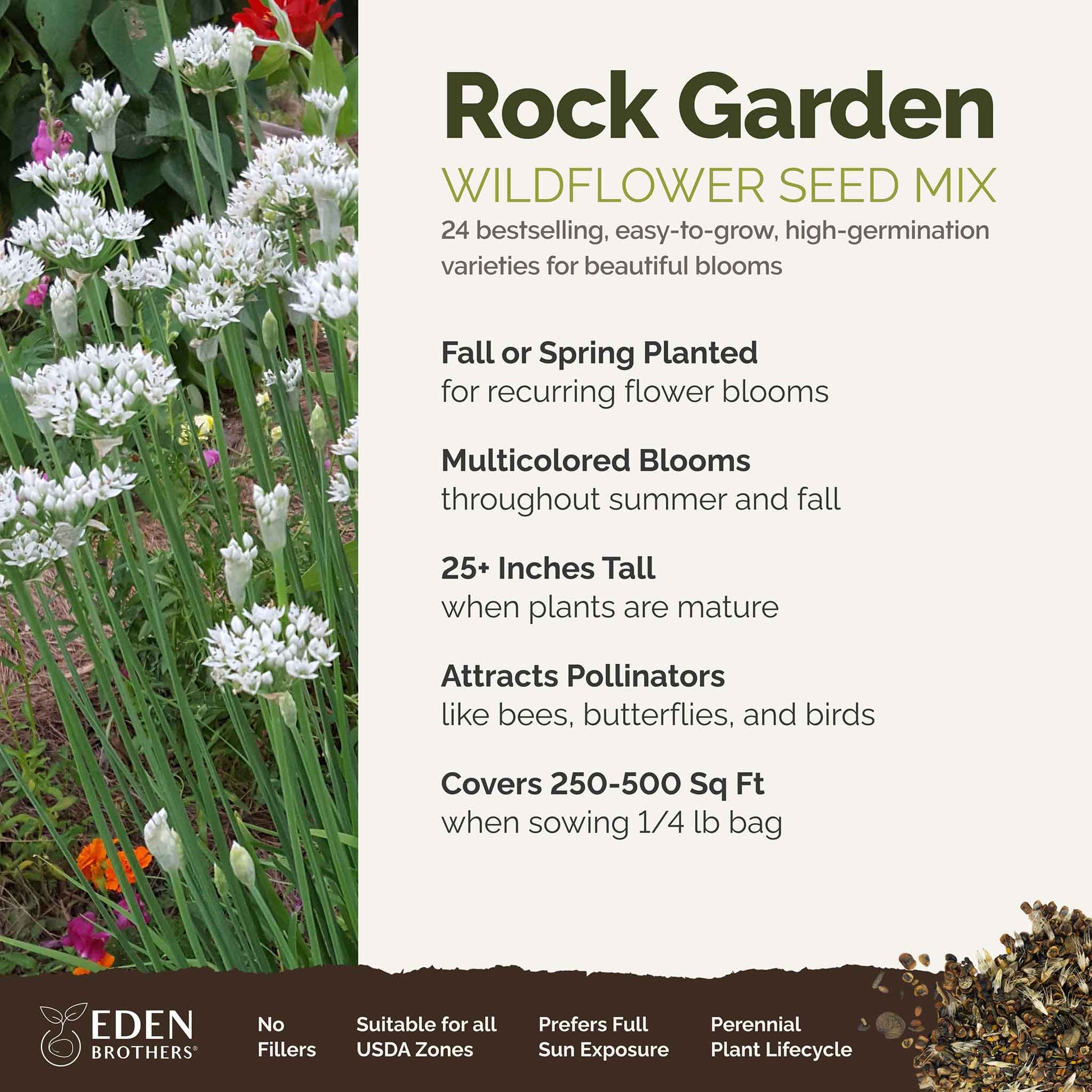 A visual overview of the wildflower seed mix, showcasing expected floral blooms.