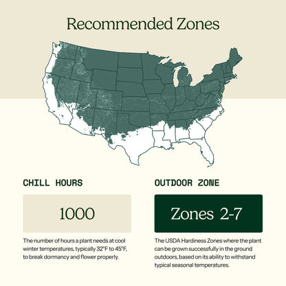 A USDA hardiness zone map of the United States with labeled patio and outdoor zones, showing a light teal map on a beige background with explanatory text blocks below.
