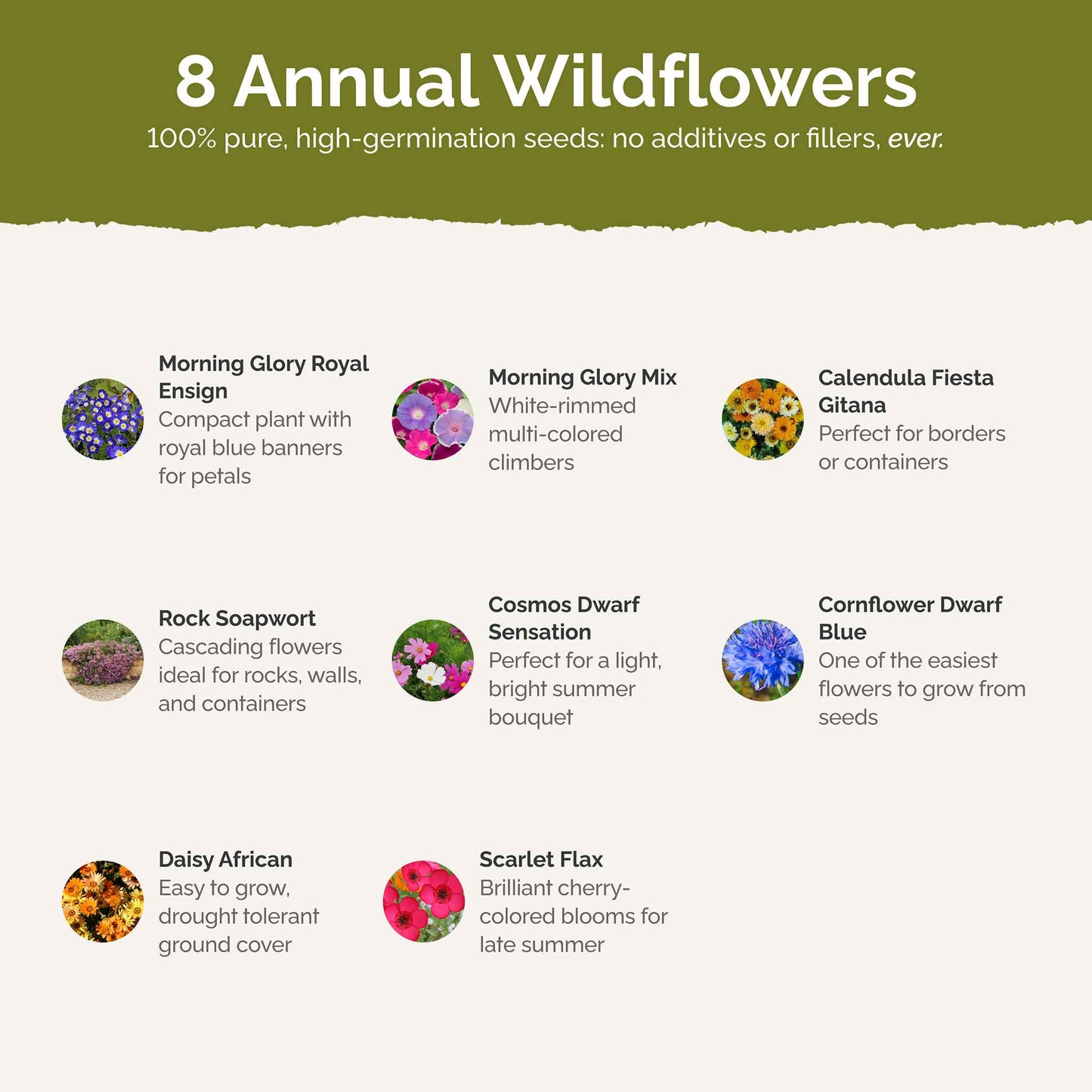 royal meadow contents