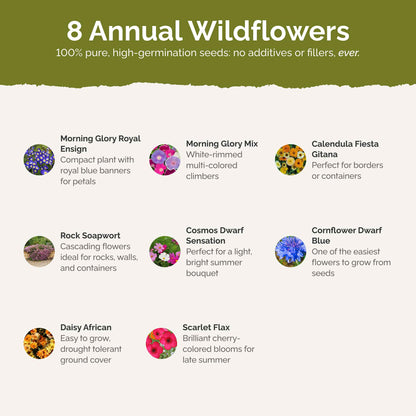List of flower species and seeds included in the Wildflower Seed Mix.