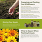 royal meadow planting