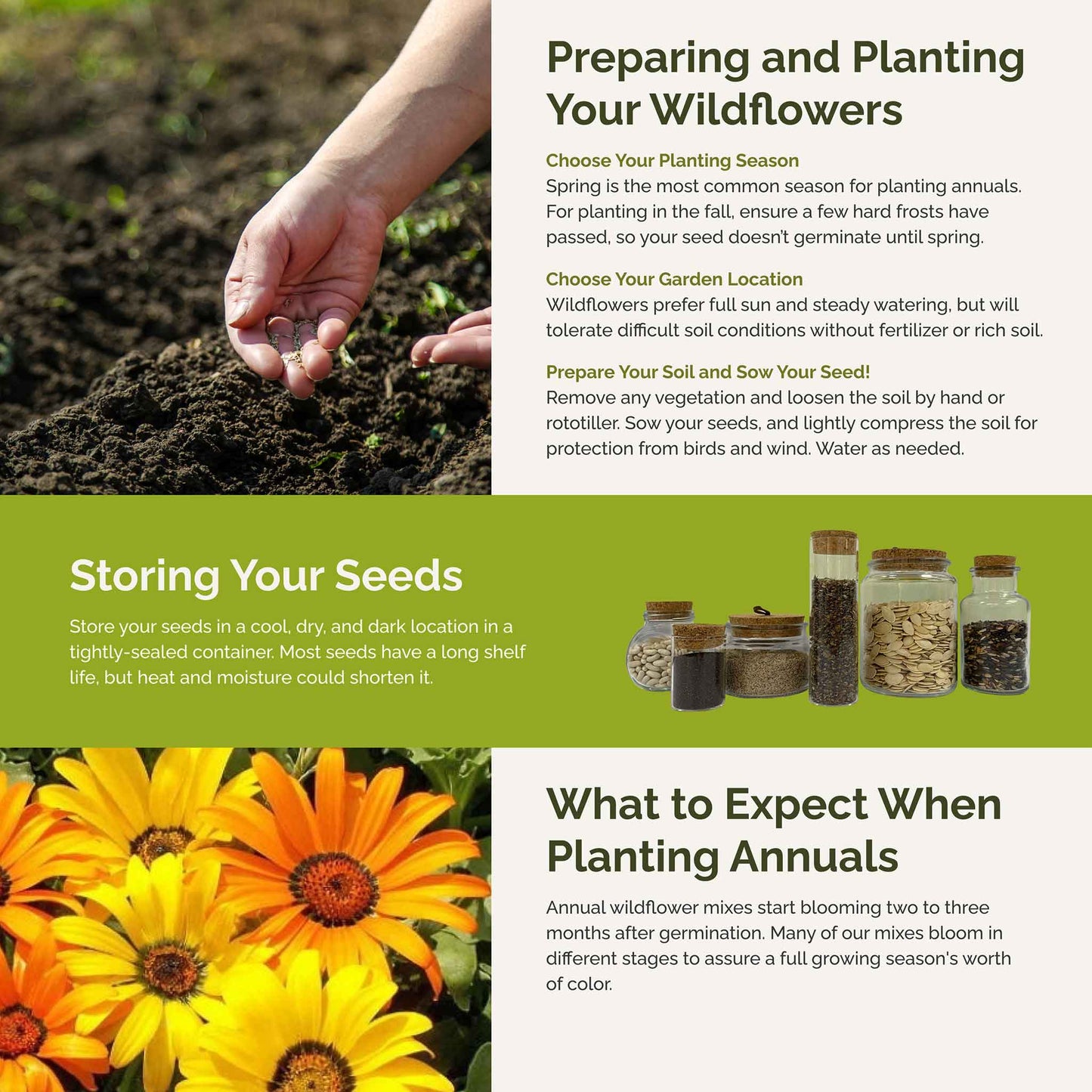 royal meadow planting
