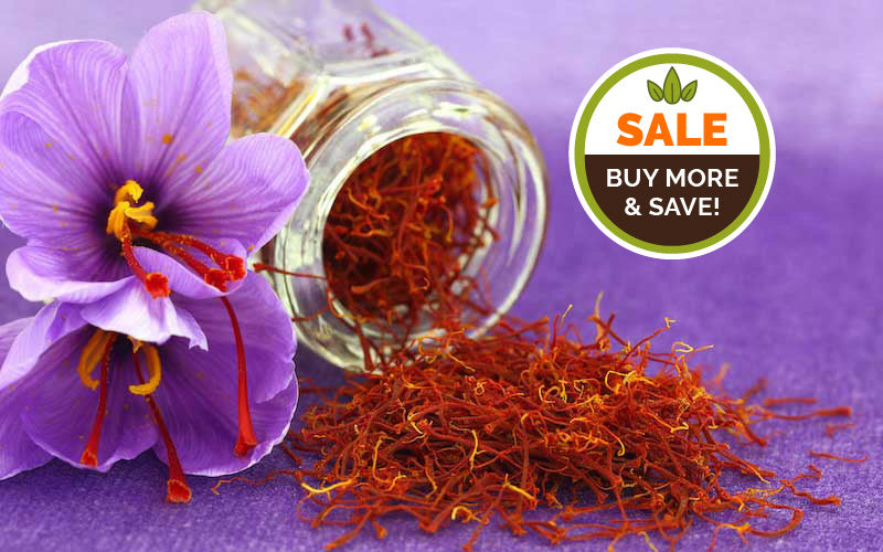 Buy More and Save on Saffron Crocus Bulbs