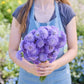 Person holding a bouquet of bluish purple flowers from the scabiosa signature bundle in a natural setting