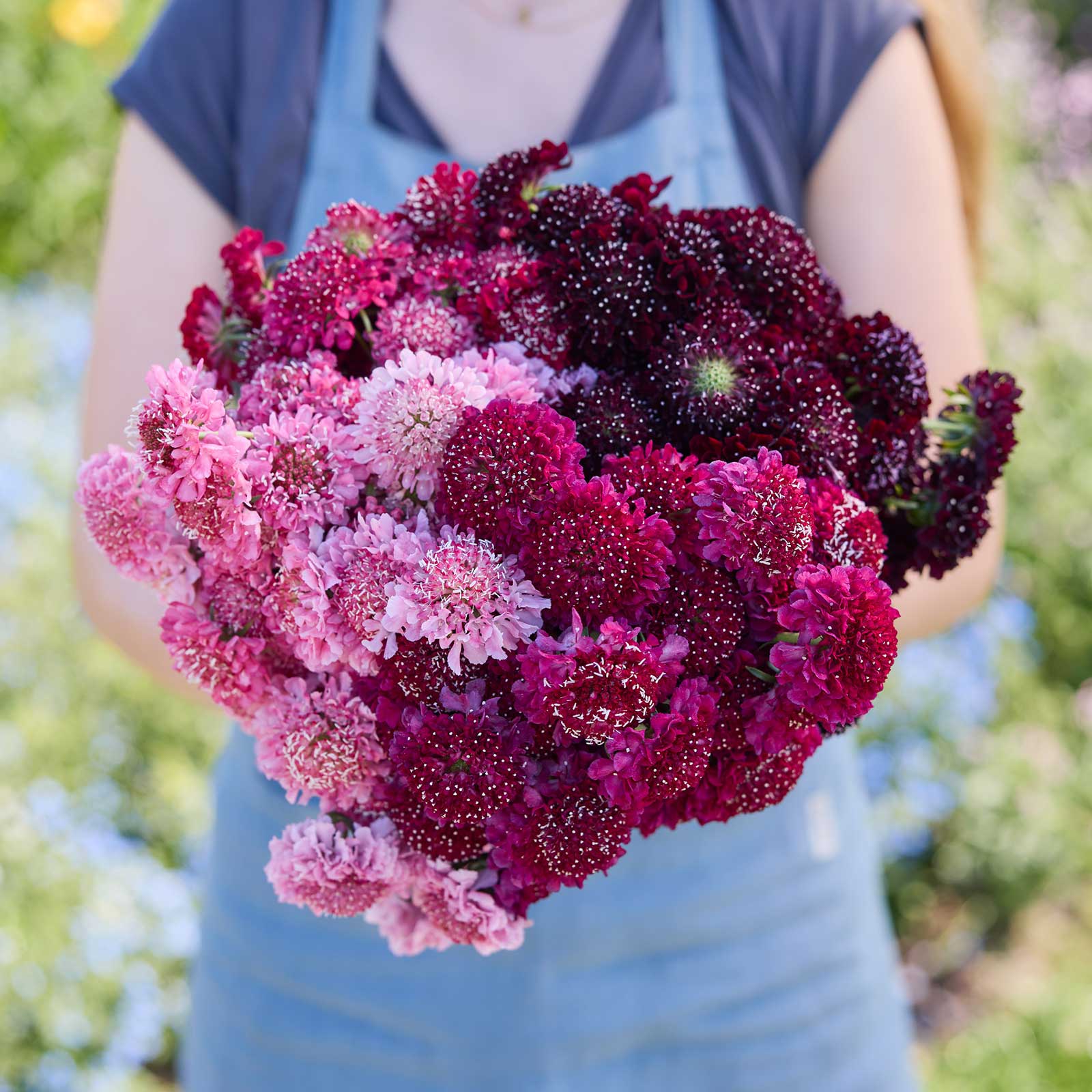 Person holding a bouquet of colorful flowers from the scabiosa summer fruits bundle in a natural setting