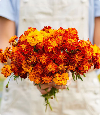 marigold flowers held in a bouquet