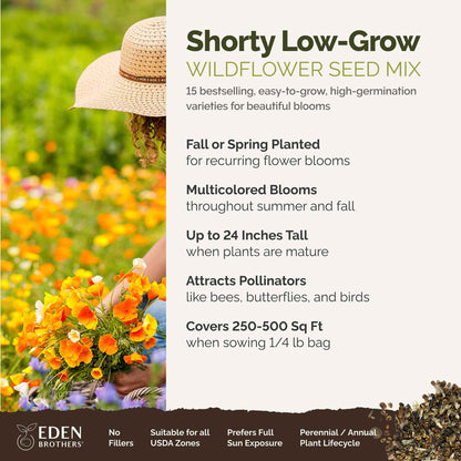 A visual overview of the wildflower seed mix, showcasing expected floral blooms.