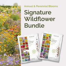 Graphic of signature wildflower bundle pack displaying a product image and contents of the bundle.