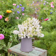 A bouquet of white snowflake snapdragon flowers in a vase in a natural setting