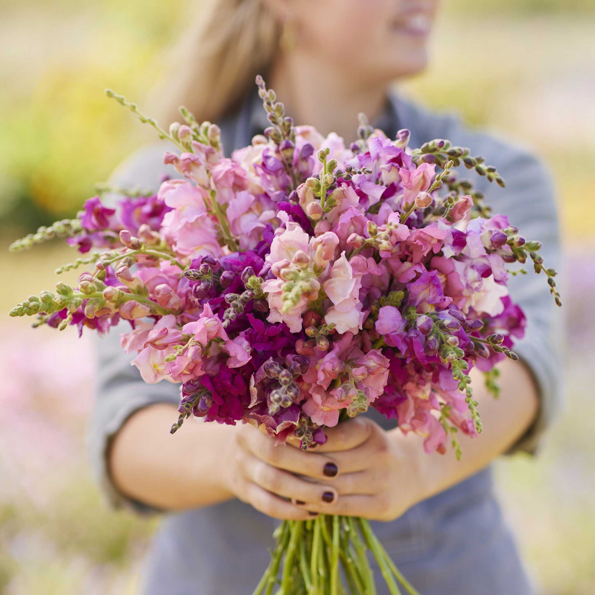 A person holding a bouquet of snapdragon coolsnap pink mix flowers in a garden setting.