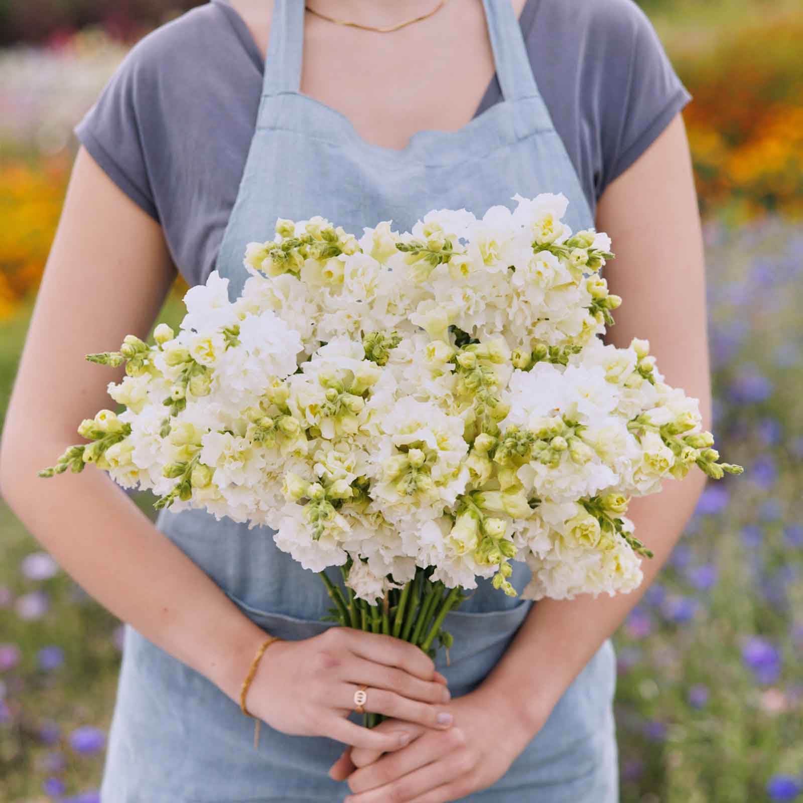 Person holding a bouquet of legend double white snapdragon flowers with ruffled petals.
