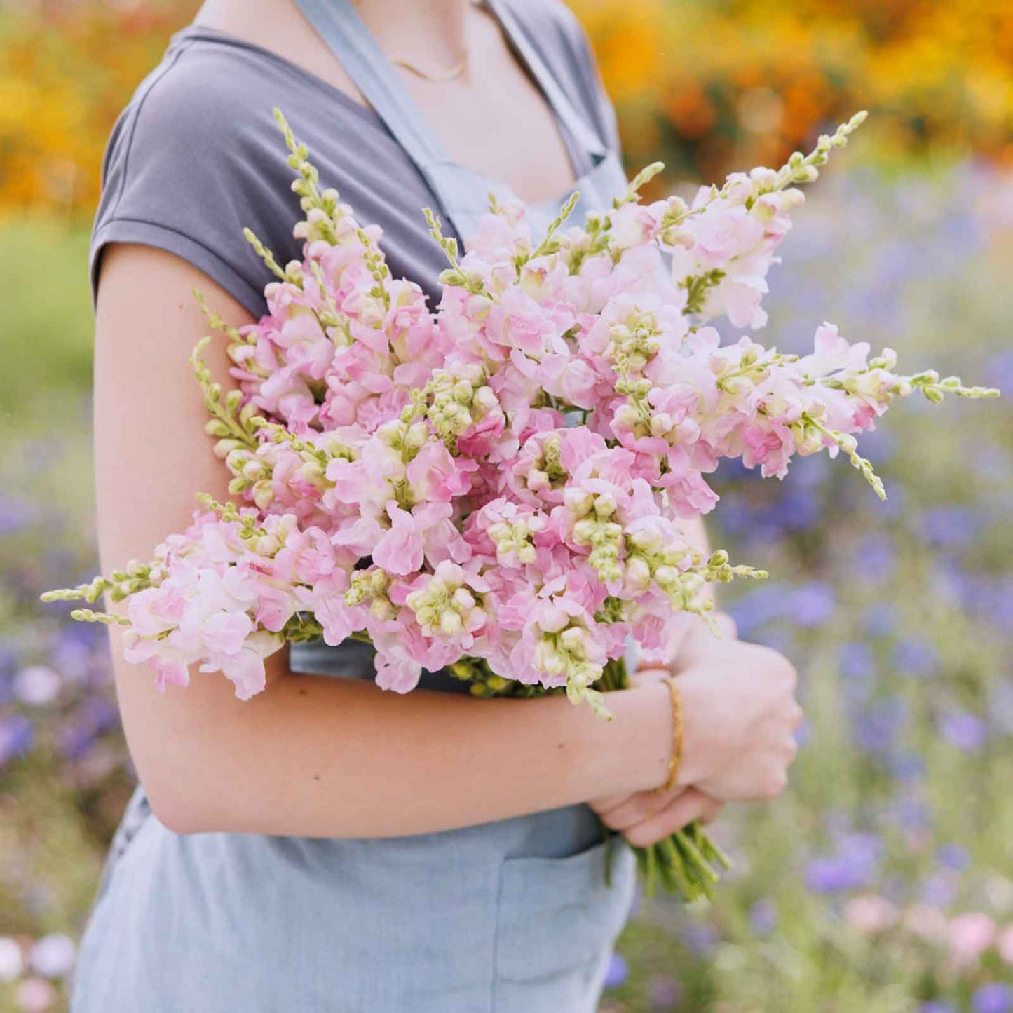 Person holding a bouquet of legend light pink snapdragon flowers in a field with blurred background