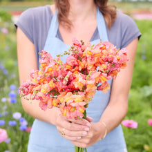 A person holding a bouquet of orange wonder snapdragon flowers in a natural setting