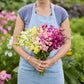Person holding a bouquet of snapdragon rainbow mix flowers in a garden setting