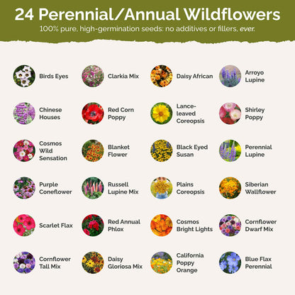 List of flower species and seeds included in the Wildflower Seed Mix.
