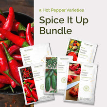Graphic of spice it up bundle pack displaying a product image and contents of the bundle.
